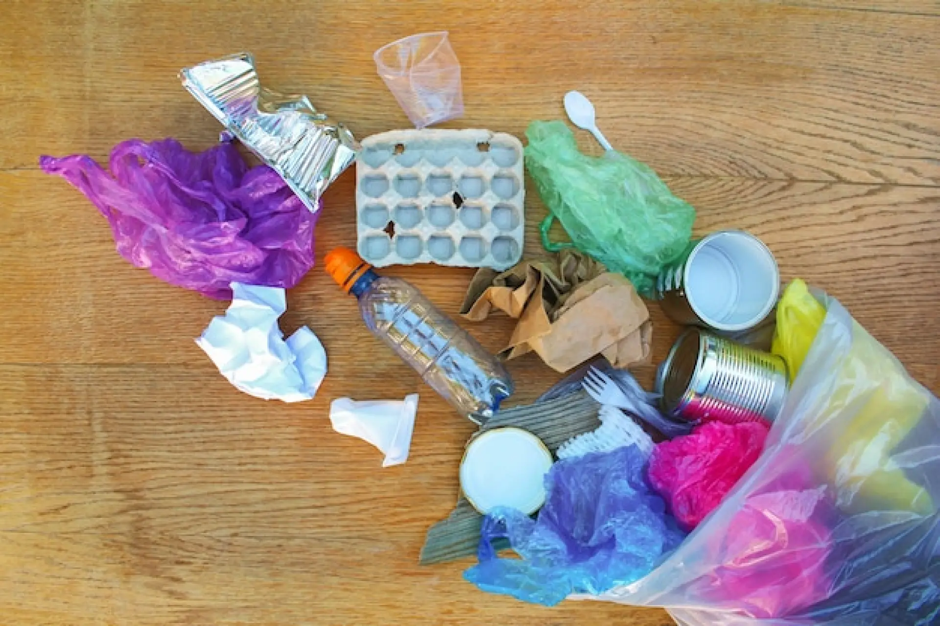 The Importance of Proper Waste Removal for Homes