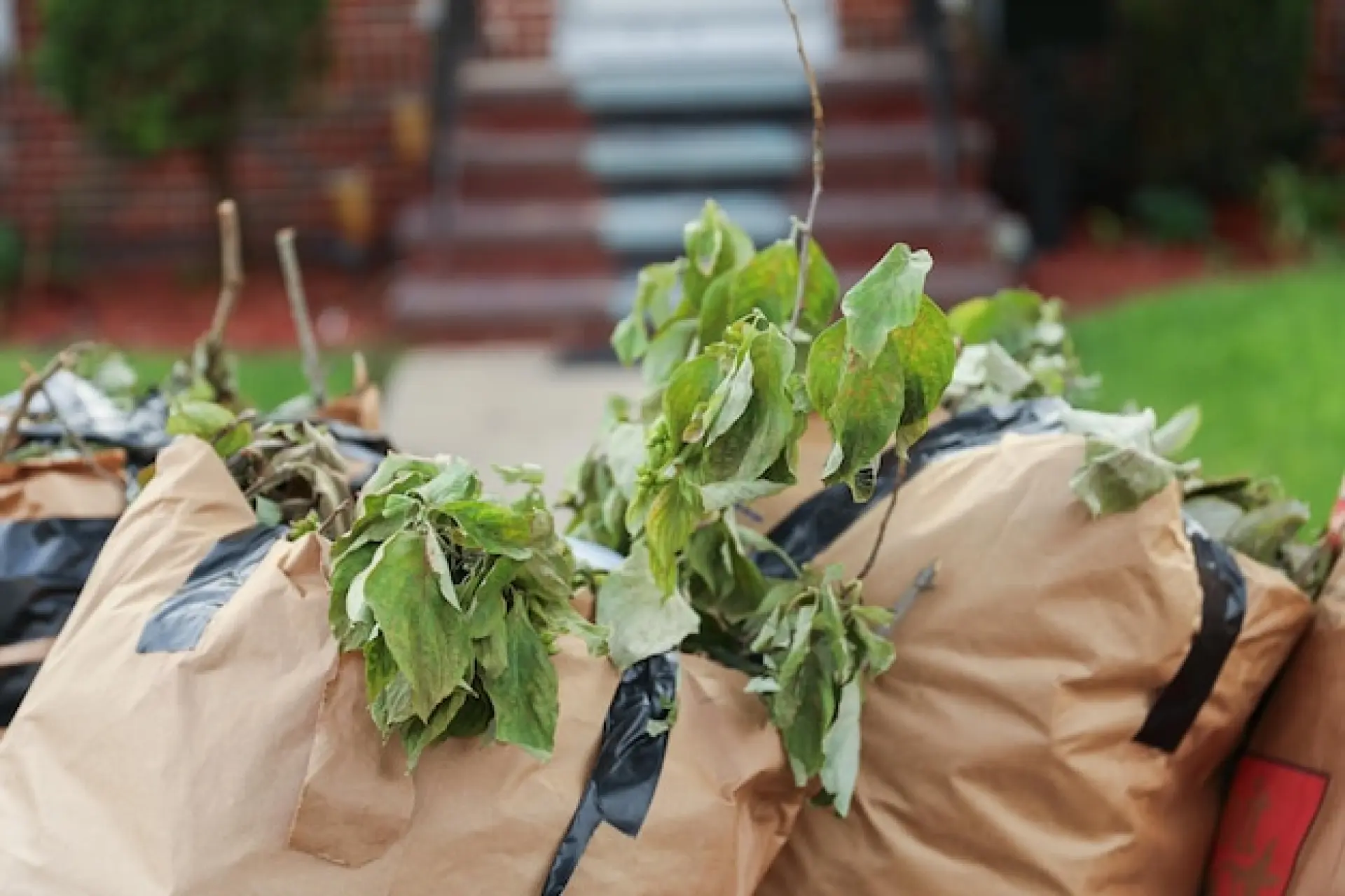 Best Practices for Garden Waste Removal