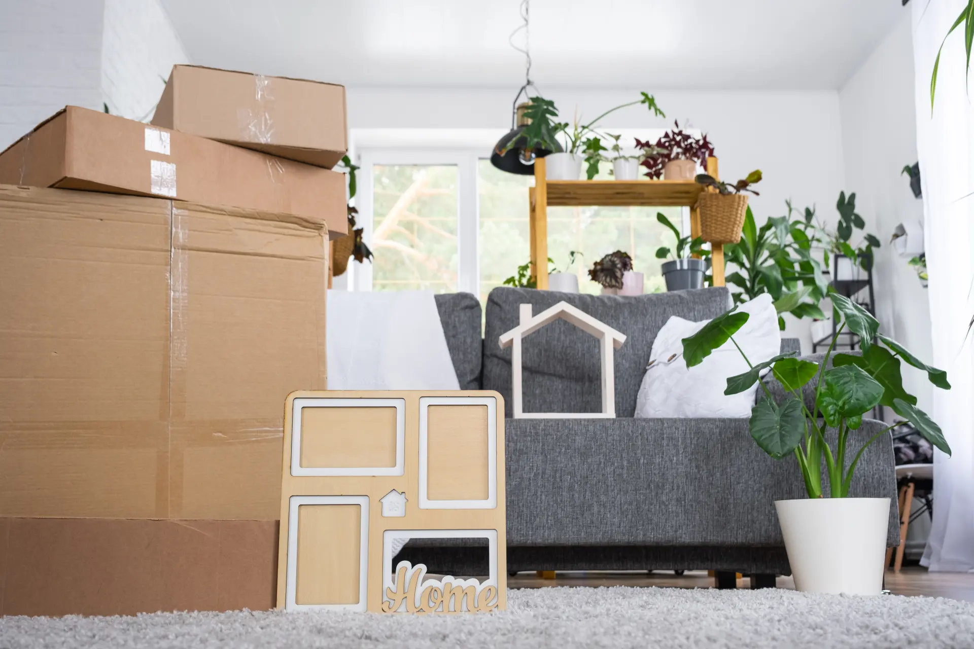 Halifax House Clearance Near Me
